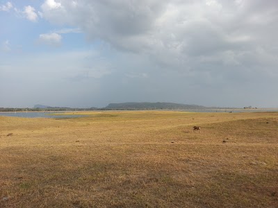Photos of Pimburattewa Mahaweli Circuit