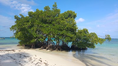 Photos of Punta Cana Ecological Reserve