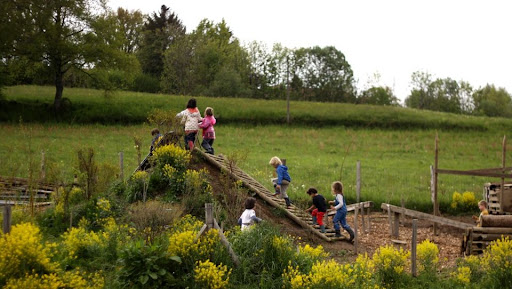 Association Graine de Vie / Ecole Montessori - Thumbnail
