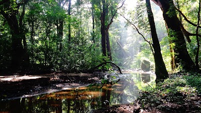 Photos of Narangamuwa Lakegala Mountain Peak - ලකේගල කඳු මුදුන