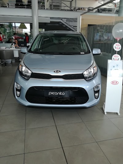 car-dealer