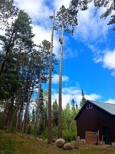 Beartooth Tree Service - Visual