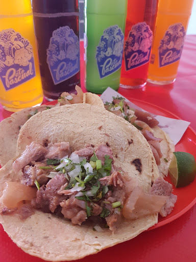 CARNITAS MARTHA - Thumbnail