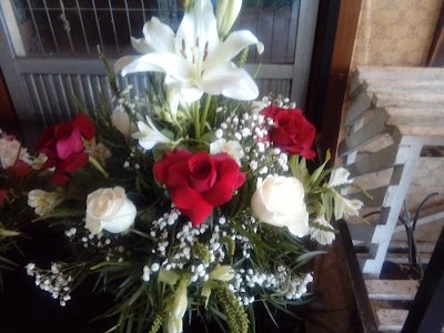 Photos of floreria gladys