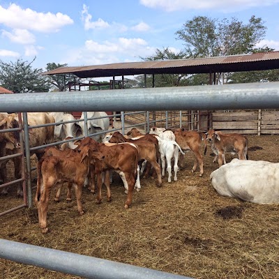 Photos of Finca Morro