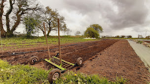 Photo n°9 de La ferme de Beg ar Big à Gourlizon (Ferme)