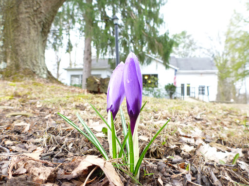 Unitarian Universalist Congregation East - Thumbnail