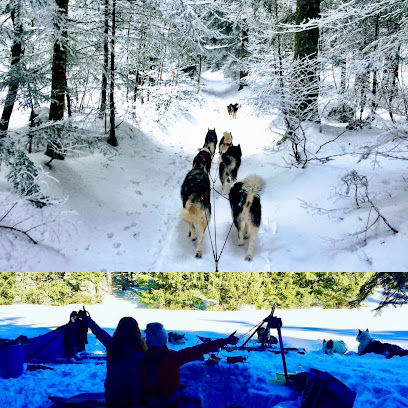 Ecole de chiens de traîneaux - Sensations Nordiques