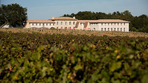 Photo n°75 de Château Fage La Maison des Vignes à Arveyres (Hôtel bien-être)