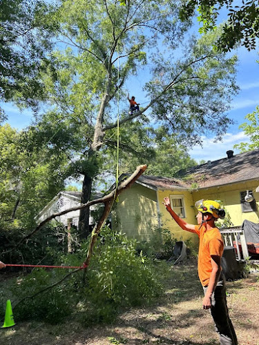 B's Tree Service