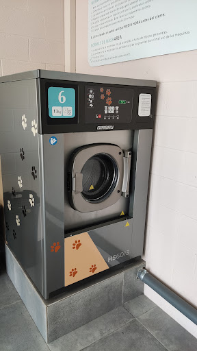 WashArea
