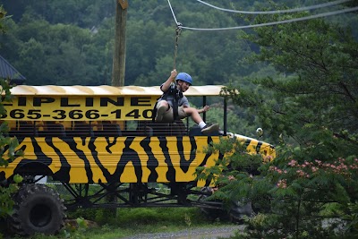 The Dome Ziplines