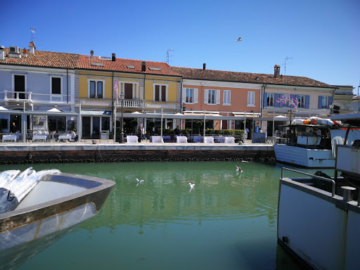 Cortesi Emanuele - Thumbnail