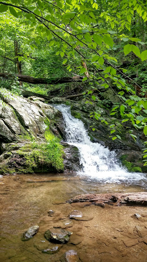 Doyles River Cabin Gallery - United States