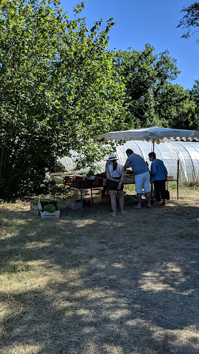 Producteur Légumes