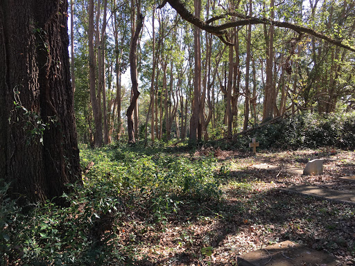 Little Bethel Baptist Cemetery - Thumbnail