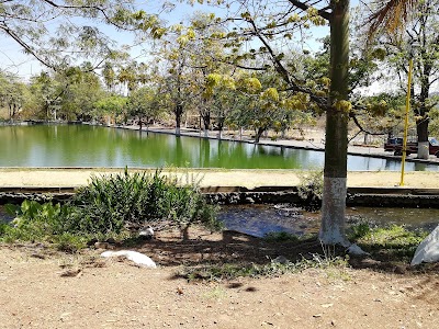 Photos of El lago