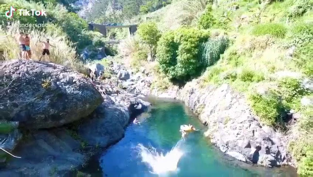 Avaliações doMadeira Friendly Guide - Madeira Tours and Walks em Funchal - Agência de viagens
