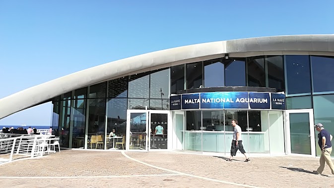 Malta National Aquarium, Author: Michael Poelz