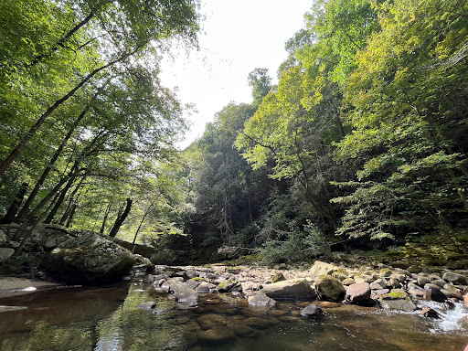 Pocket Wilderness - Thumbnail