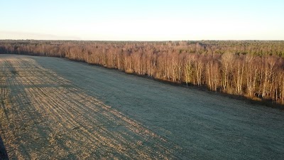 Photos of Simisalu loodusmaja