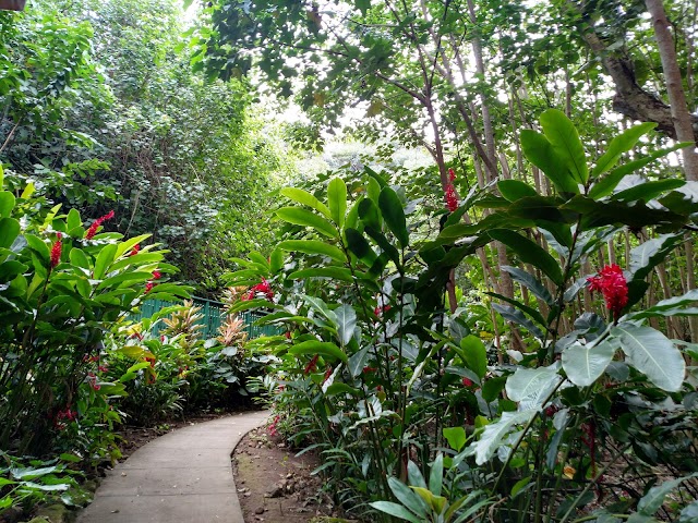 Fern Grotto
