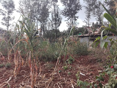 Photos of CITAM Ngong