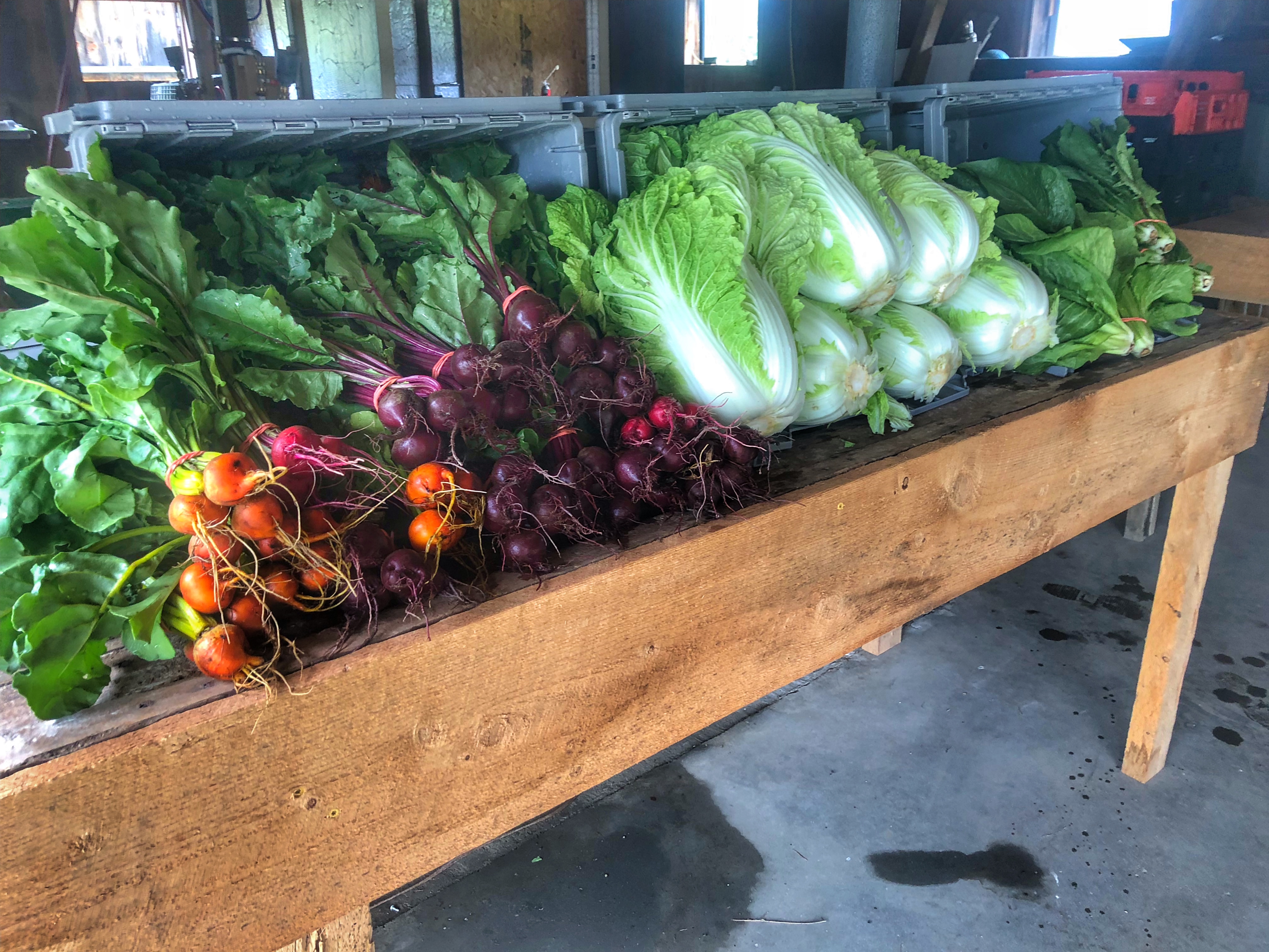 Eureka Organic Farm