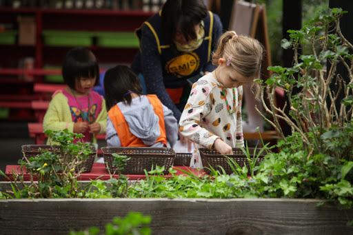Global Montessori International School