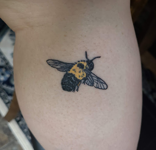 Signal Wire Tattoo Co. - Thumbnail
