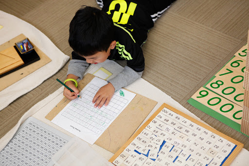 Global Montessori International School - Thumbnail