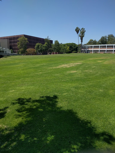 Engineering Meadow - Visual
