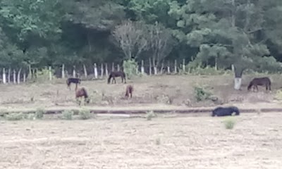 Photos of Hacienda Las Llanuras