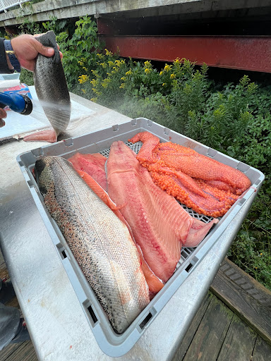 Blue Collar Charters And Guide Service llc - Thumbnail
