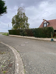 Photo n°28 de BAUMGARTEN ELAGAGE à Chartres (Service d'élagage)