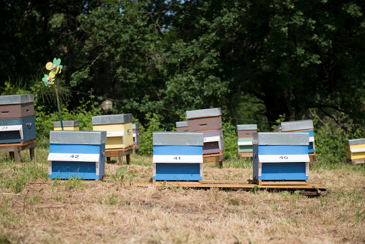 Photo de Gaec Delage