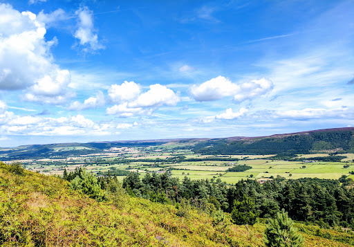 Wainstones Gallery - United Kingdom