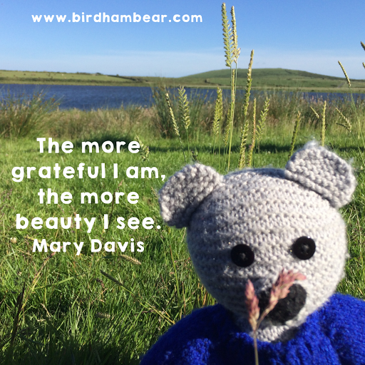 Birdham Bear - Visual