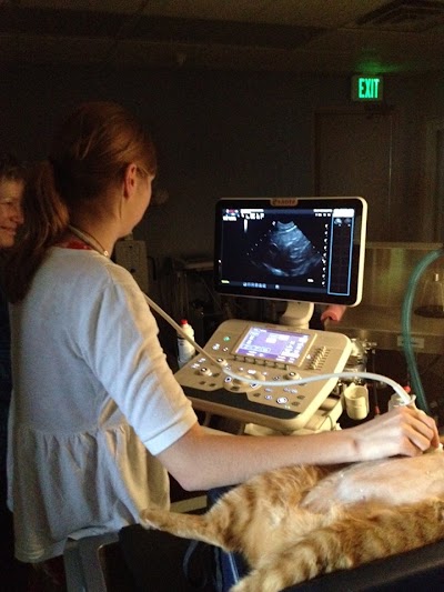 Photos of Line Street Veterinary Hospital