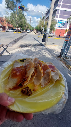Tacos al vapor el estadio - Thumbnail