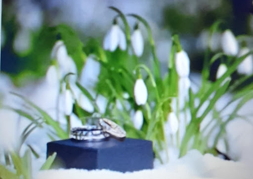 Ceremonies in Nature - Thumbnail