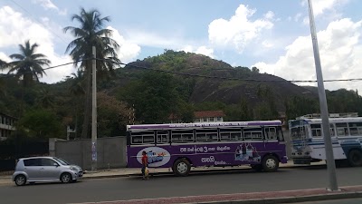 Photos of Shanthi Pet Shop