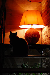 Photo n°15 de Ferme de Bellevue à Landes-le-Gaulois (Ferme)