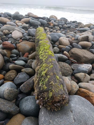 Photos of San Onofre State Beach