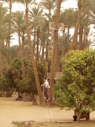 Photos of فاجنون فلاح