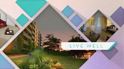Photos of The Lake Shore Apartments