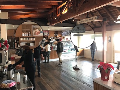 Photos of Larchmont Bungalow