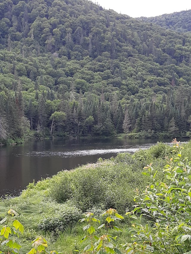 Forêt Ouareau - secteur du Pont-Suspendu