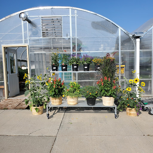 Amber Waves Greenhouse - Thumbnail