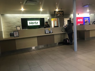 Hertz Car Rental